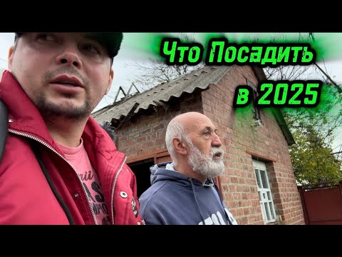 Видео: Разговоры по Душам/ Разбор Виноградных Новинок