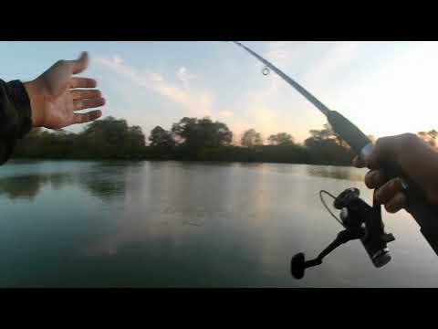 Видео: Субботнее утро на реке Кубань.