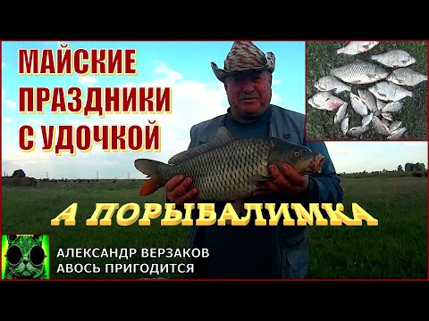 Видео: А порыбалимка 7/22г. Майские праздники с донкой.