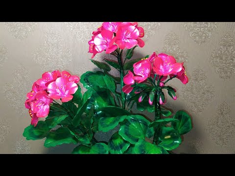 Видео: Герань из пластиковых бутылок. Мастер класс.