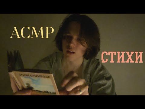 Видео: АСМР читаю Тебе стихи в уютной атмосфере 🍁(lo-fi)