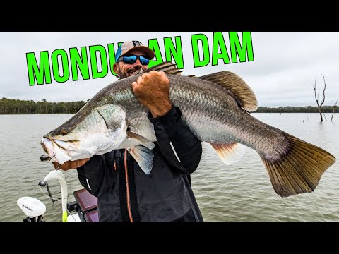 Видео: Рыбалка на баррамунди. Ловля нового трофейного баррамунди на плотине Мондуран.