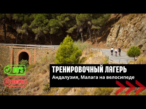 Видео: Ошибки, которые ты *вероятно* совершаешь в тренировочном лагере, ограничивающие твой прогресс