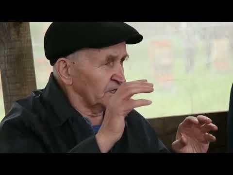 Видео: Самые высококачественные матки. Пчеловодство -  Кашковский