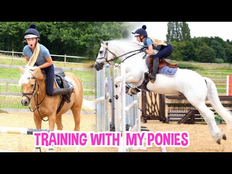 Видео: ТРЕНИРОВКА ПО ПРЫЖКАМ С ТРЕМЯ МОИМИ ПОНИ. ОНИ НЕ МОГУТ БЫТЬ ДРУГИМИ!