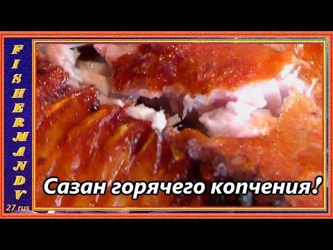 Видео: Сазан горячего копчения на костре. Дальневосточный шарабан, готовим, сазана и леща.