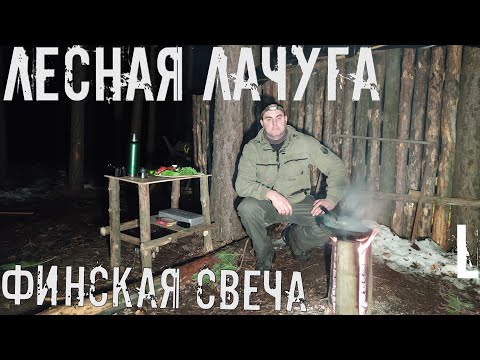 Видео: ЛЕСНОЙ ДОМИК | ГОТОВЛЮ НА ФИНСКОЙ СВЕЧЕ | ПРИШЛА ВЕСНА..