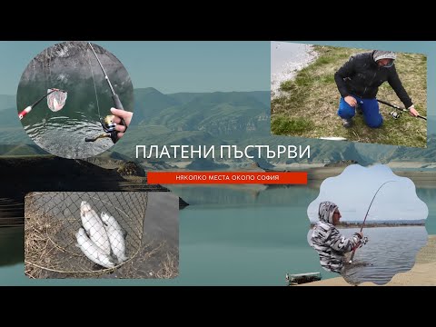 Видео: Платени пъстърви около София - Payfor Trout around Sofia