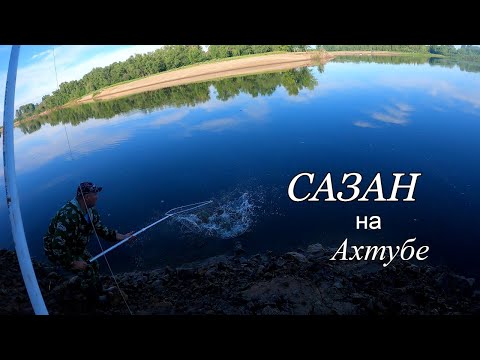 Видео: Рыбалка с ночевкой на Ахтубе. Первый САЗАН в этом году. Утренняя рыбалка.