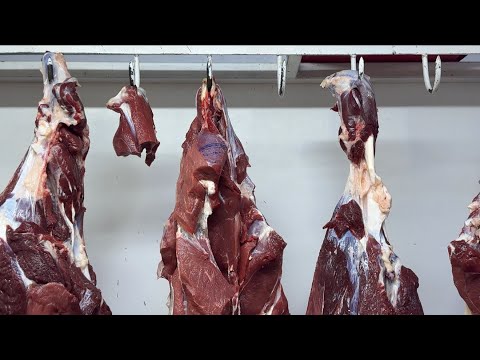 Видео: БУ НИМАНИ ГУШТИ БУЛДИ ТЕЗ КУРИНГ | ТУРТКУЛЬ ДЕХКОН БОЗОР ГУШТ НАРХЛАРИ 