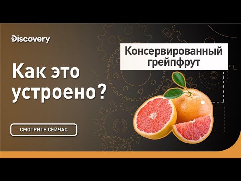 Видео: Консервированный грейпфрут | Как это сделано? | Discovery Channel