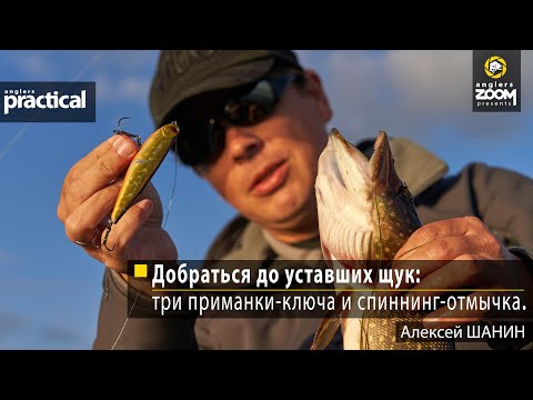 Видео: Добраться до уставших щук: три приманки-ключа и спиннинг-отмычка. Алексей Шанин. Anglers Practical