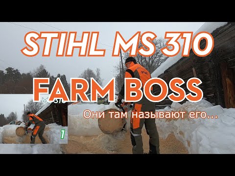 Видео: Бензопила STIHL MS 310. Для кого?! Для чего?!