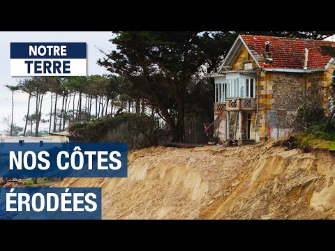 Видео: Французское побережье в опасности? - Экологический документальный фильм - Усилитель