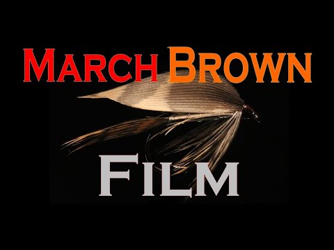 Видео: Вязание мокрых мушек March Brown