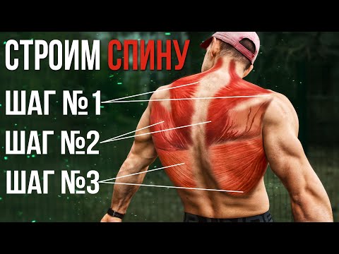 Видео: Спина по Всем Фронтам. Готовая тренировка основных сегментов мышц спины.
