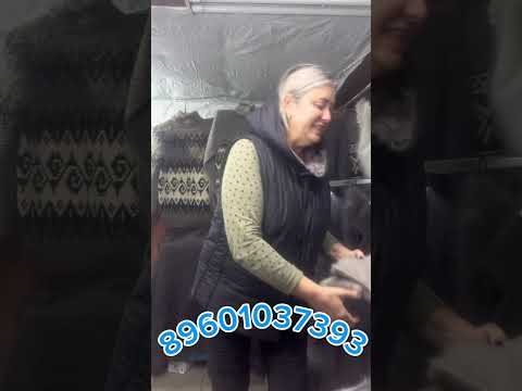 Видео: 5 сентября 2025 г.