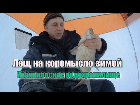 Видео: Лещ на коромысло зимой. Иваньковское водохранилище.