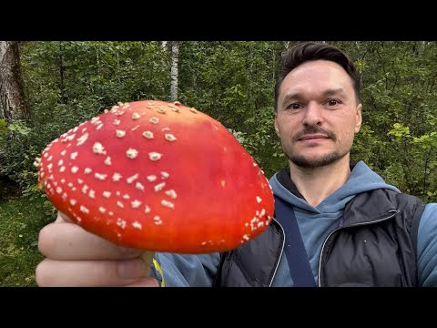Видео: Как перестать жить по ложному и начать жить истинно для души а не для ума?