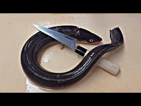 Видео: Часть 2, сашими из морского угря, уход за рыбой весом 1 кг