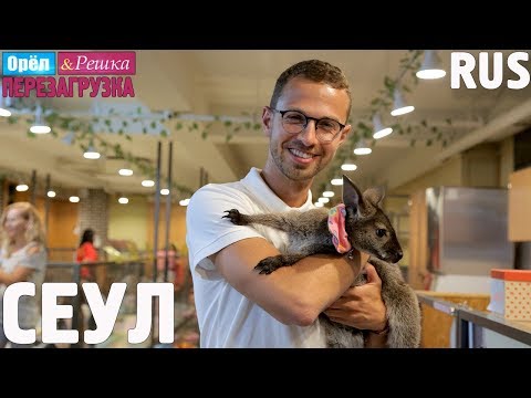 Видео: Сеул. Орёл и Решка. Перезагрузка #26. RUS