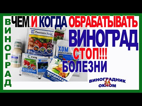 Видео: 🍇  Эта схема обработки спасет Ваш виноград. Все  опасные болезни отступят сами по себе.