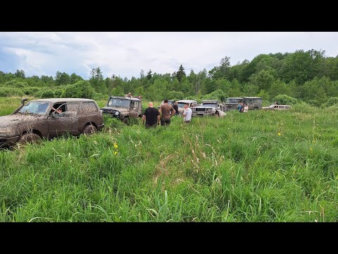 Видео: Выезд 7.06.25.  #уаз #лесной #болота #offroad #лес