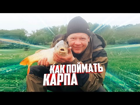 Видео: Как поймать карпа и выиграть Ловля карпа весной Кабаньи пруды