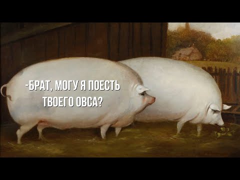 Видео: брат могу я поесть твоего овса