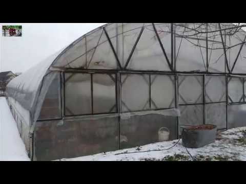 Видео: Виноград в теплице зимой , работы продолжаются !!!