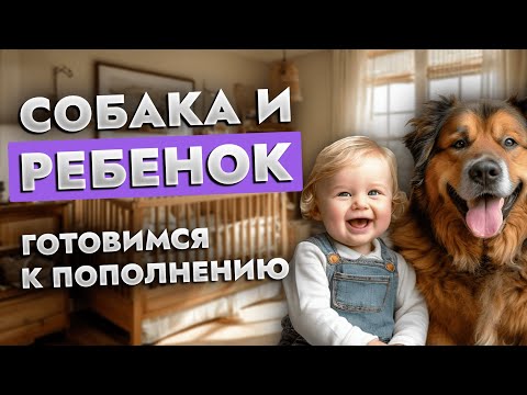 Видео: 🚨 НЕ ДОПУСТИ АГРЕССИЮ СОБАКИ: как адаптировать собаку к появлению ребенка 👶 без трагедий⚡️! | ЛавГав