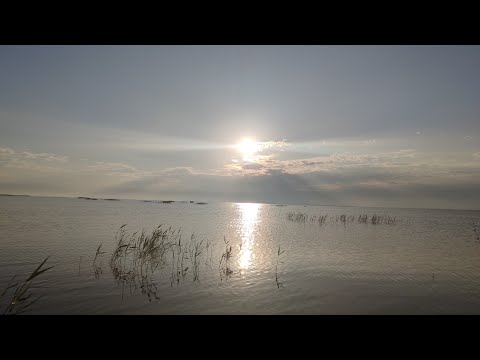 Видео: Удочка в дугу, леска трещит, монстры караси / Рыбалка на озере Уелги.