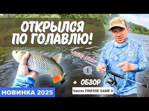 Видео: ГОЛАВЛЬ В НАЧАЛЕ ЛЕТА - ЭТУ РЫБАЛКУ НЕЛЬЗЯ УПУСТИТЬ!