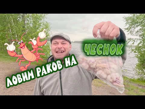 Видео: ЛОВЛЯ РАКОВ НА ЧЕСНОК. НАШ ОПЫТ.