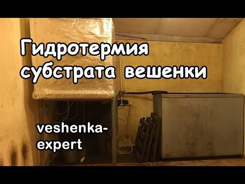 Видео: Гидротермия субстрата вешенки. Как приготовить субстрат для вешенки?