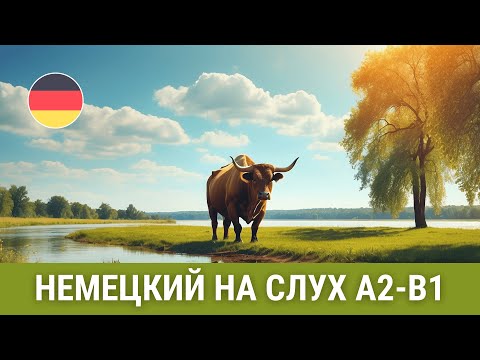 Видео: Приключение в деревне. Немецкий на слух А2-В1