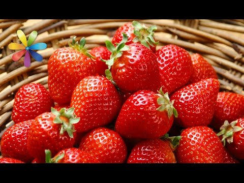Видео: Как выбрать клубнику в разгар сезона и не отравиться? – Все буде добре. Выпуск 826 от 14.06.16