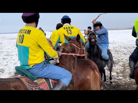Видео: Чыдасан Улак тарт 🔥🔥🔥Ак Торпоктогу Жер Улак 🔥🔥🔥