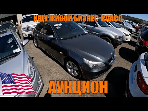 Видео: США! АУКЦИОН ЦЕЛЫХ МАШИН!!! ИЩУ ЖИВОЙ БИЗНЕС-КЛАСС ДО $15,000. ОСТАНОВИЛА ПОЛИЦИЯ