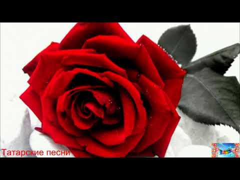 Видео: Татарские песни 24