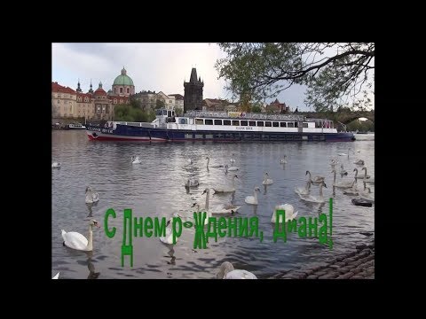Видео: Поздравляем Диану Арбенину с днем рождения!