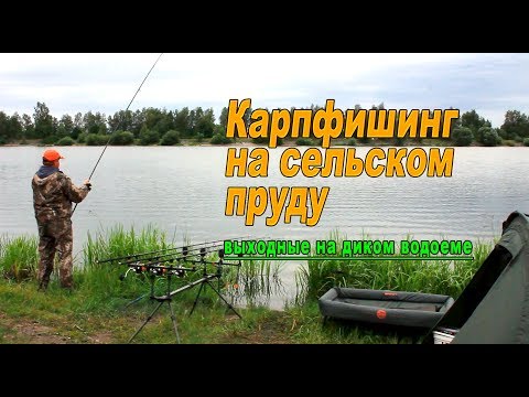 Видео: Дикий водоем. Ловля карпа.