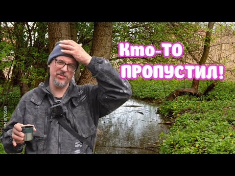 Видео: ОГО...КТО-ТО СТОЛЬКО ПРОПУСТИЛ! НАШЁЛ НА БЕРЕГУ РУЧЬЯ!