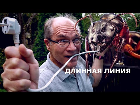 Видео: Длинная линия. Что там внутри?