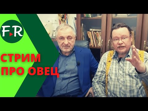 Видео: Продолжение стрима про овцеводство с Ерагыем Исаевичем Гишларкаевым