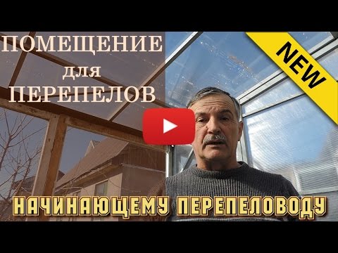Видео: Начинающему перепеловоду – Помещение для перепелов