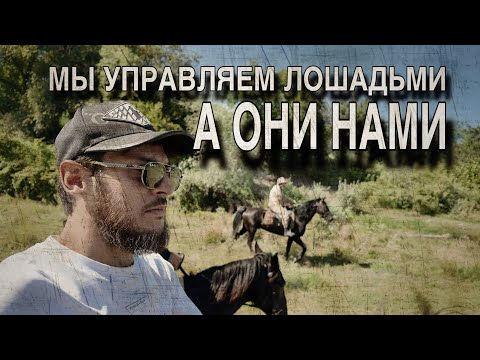 Видео: КОННЫЙ ПОХОД,ОТДЫХАЛИ КАК МОГЛИ