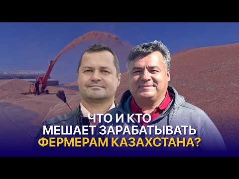 Видео: Почему рухнули цены на картофель и что будет с урожаем пшеницы? ТОО Найдоровское