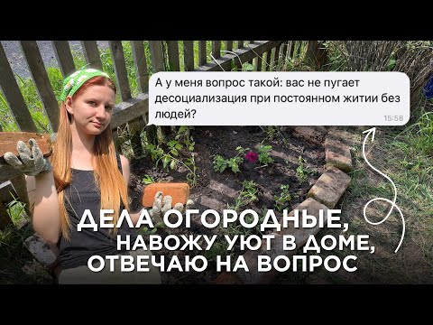 Видео: VLOG: живу одна в деревне без интернета. Тихие будни)