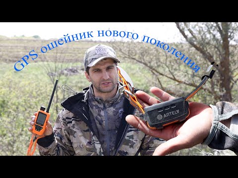 Видео: gps ошейник для собак tracker solo ARTELV